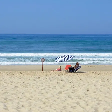 Casa Magnolia Amoreira (Leiria)