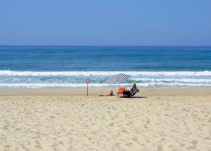 Casa Magnolia Amoreira (Leiria)